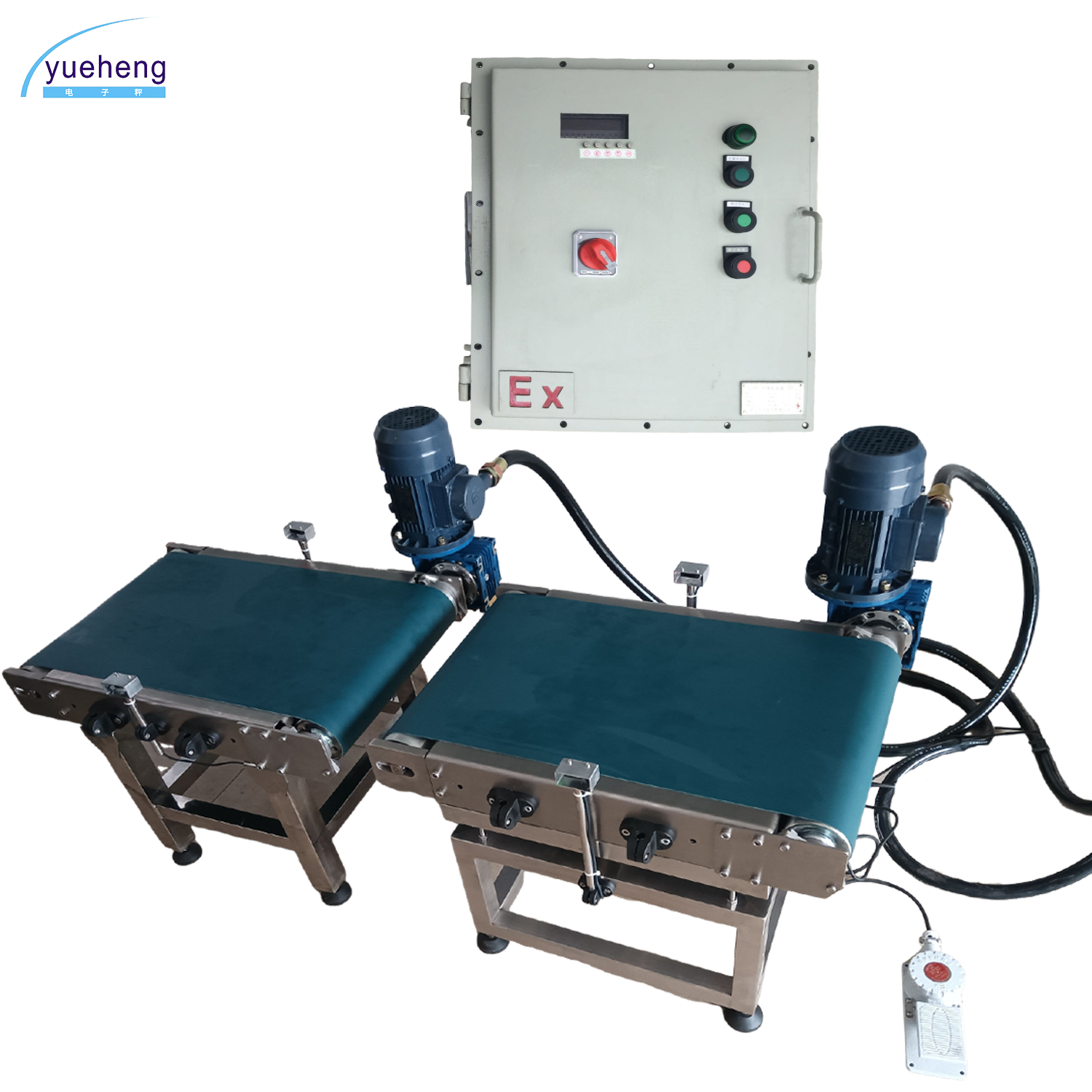 PDC-YH化（huà）工粉塵車（chē）間防爆皮（pí）帶檢重秤